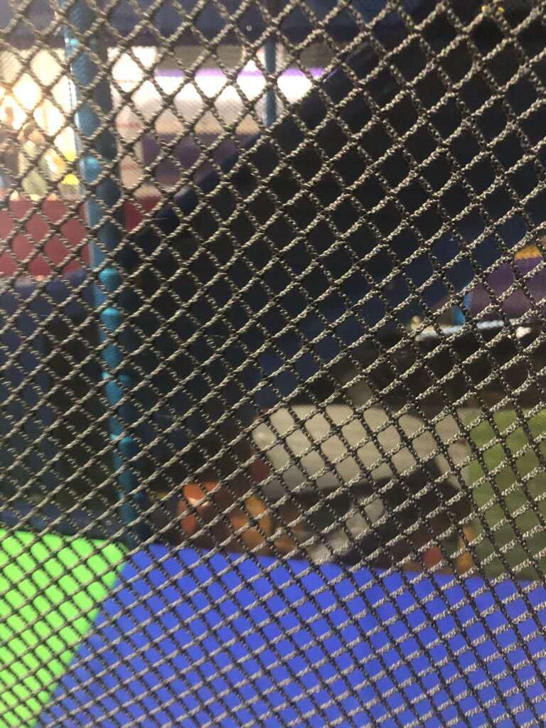 Сітка для лабіринтів захисна Чорна дрібна