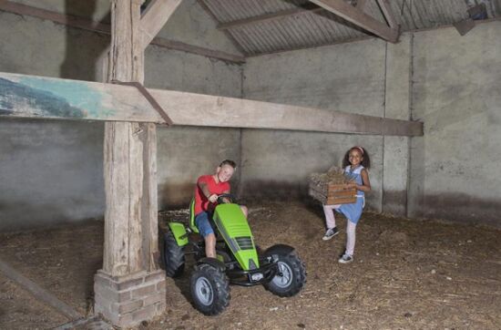 Веломобіль BERG New Holland BFR — фото 5