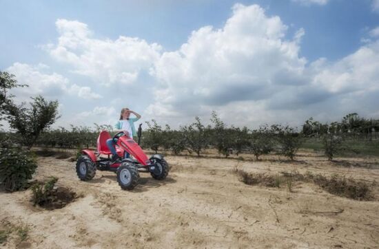 Веломобіль BERG New Holland BFR — фото 14