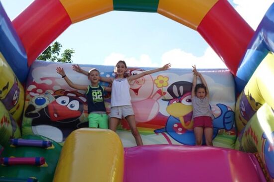 Надувна гірка Лісові друзі — фото 5