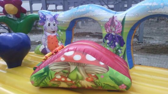 Надувний батут Поляна — фото 5