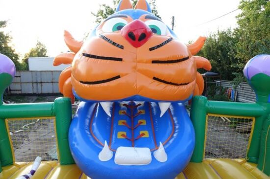 Надувний батут Чеширський кіт — фото 7