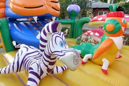 Надувний батут Чеширський кіт — фото 8